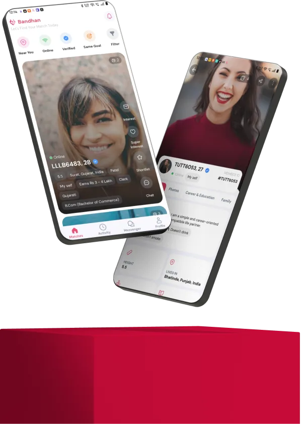 Matrimonial app preview